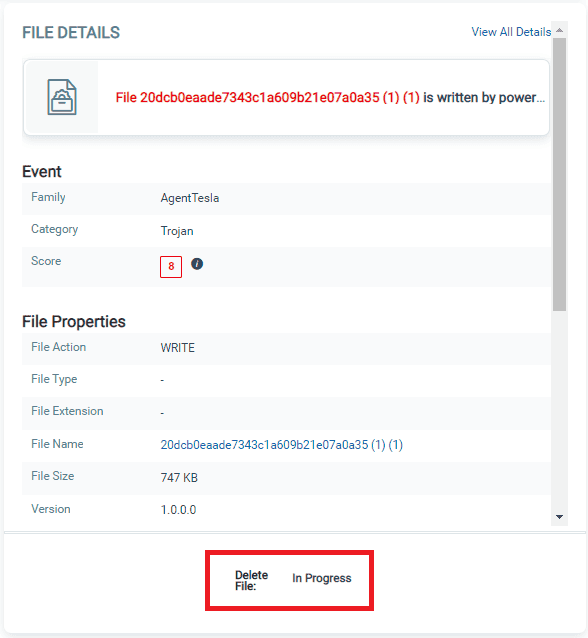 File Details